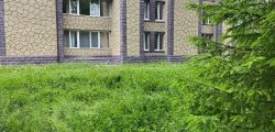 Пансионат для пожилых и больных людей в Воздвиженском