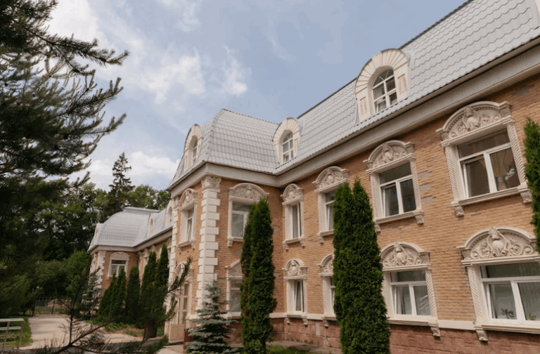 Сиделка или пансионат: что выбрать?